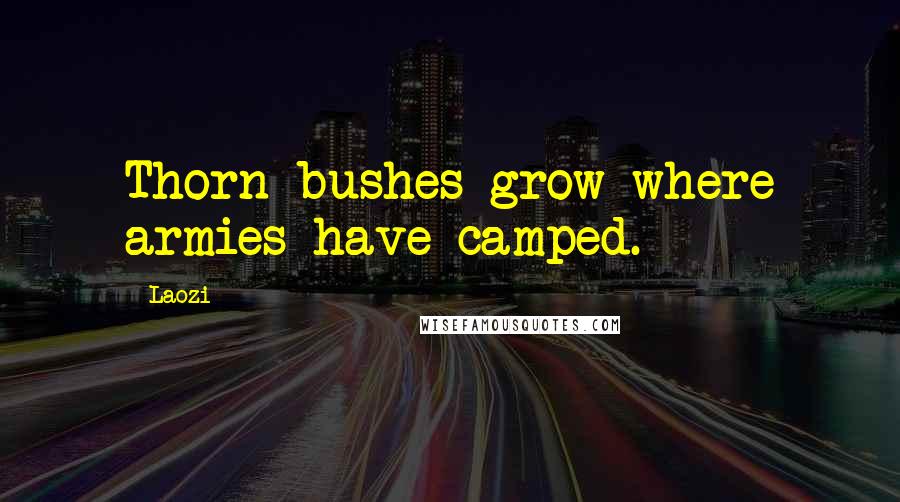 Laozi Quotes: Thorn bushes grow where armies have camped.