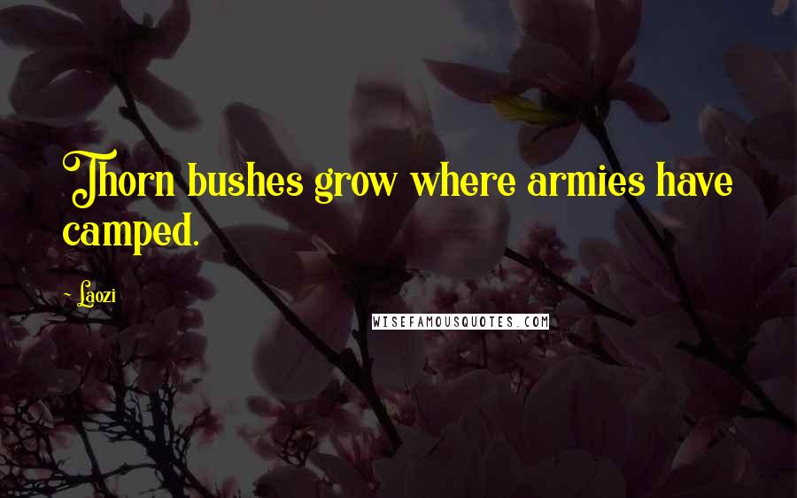 Laozi Quotes: Thorn bushes grow where armies have camped.