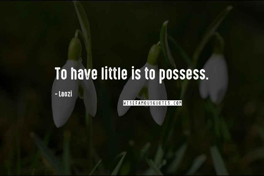 Laozi Quotes: To have little is to possess.