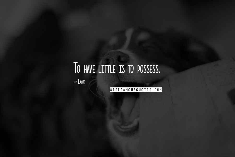 Laozi Quotes: To have little is to possess.