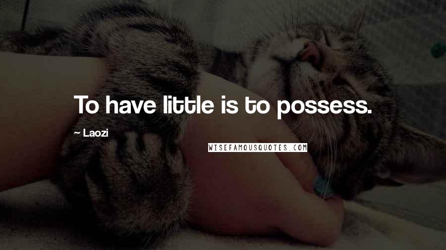 Laozi Quotes: To have little is to possess.