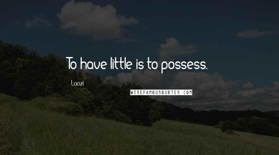 Laozi Quotes: To have little is to possess.