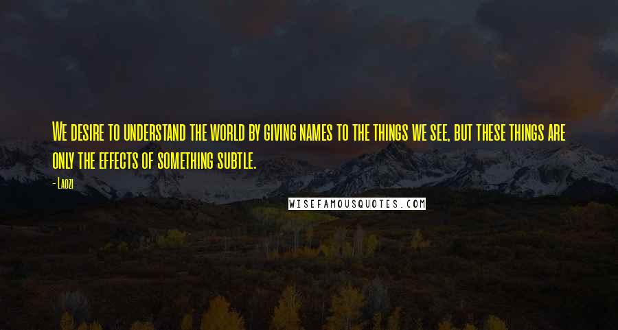 Laozi Quotes: We desire to understand the world by giving names to the things we see, but these things are only the effects of something subtle.