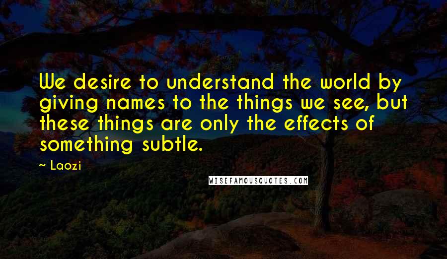 Laozi Quotes: We desire to understand the world by giving names to the things we see, but these things are only the effects of something subtle.