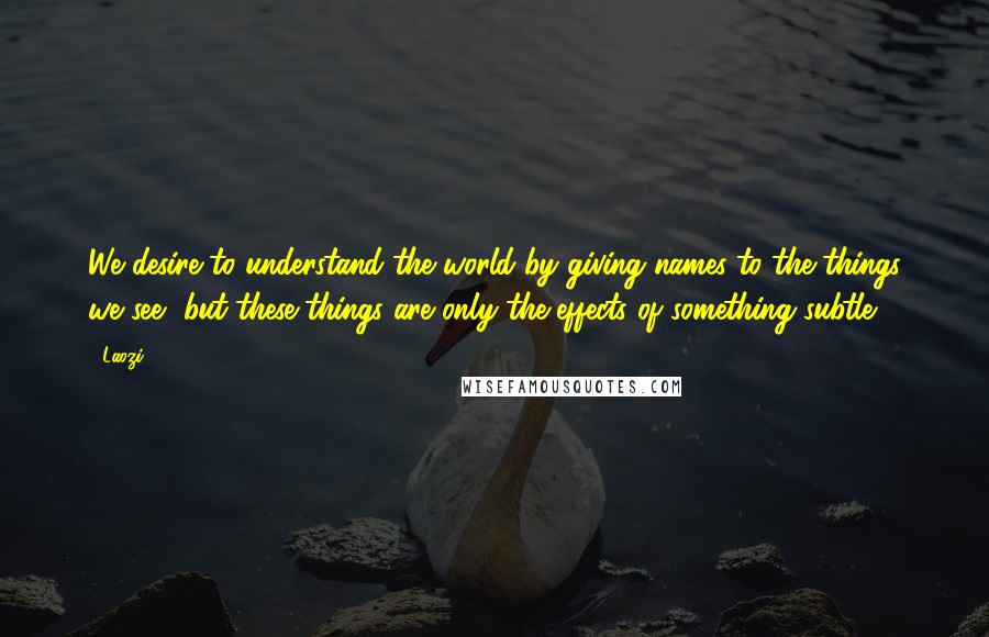 Laozi Quotes: We desire to understand the world by giving names to the things we see, but these things are only the effects of something subtle.