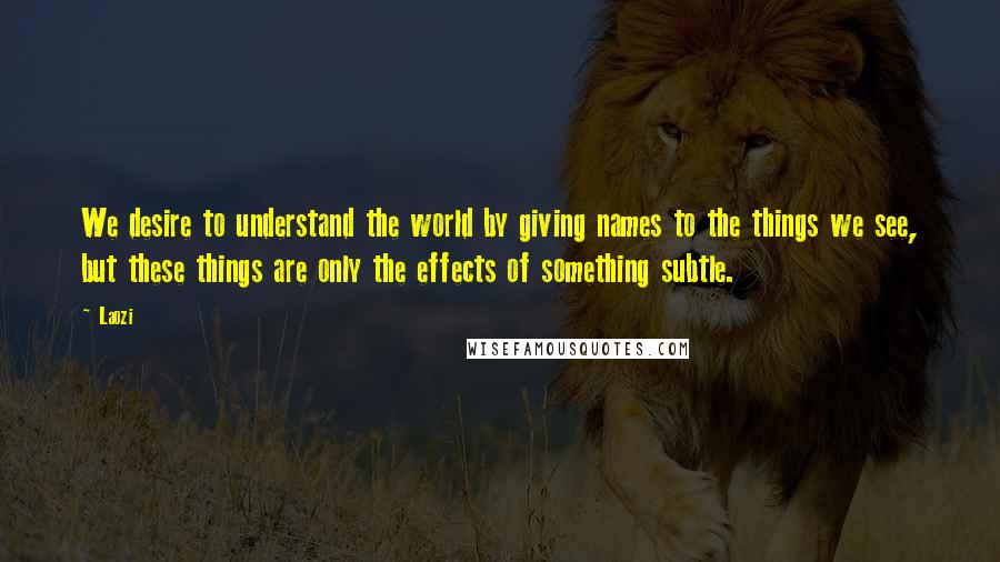 Laozi Quotes: We desire to understand the world by giving names to the things we see, but these things are only the effects of something subtle.