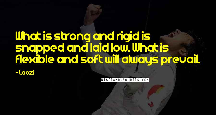 Laozi Quotes: What is strong and rigid is snapped and laid low. What is flexible and soft will always prevail.