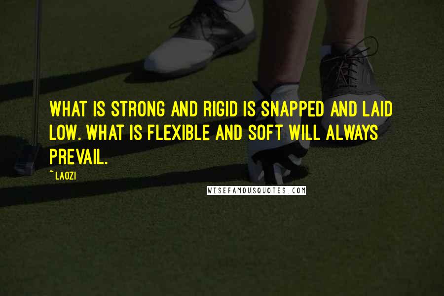 Laozi Quotes: What is strong and rigid is snapped and laid low. What is flexible and soft will always prevail.