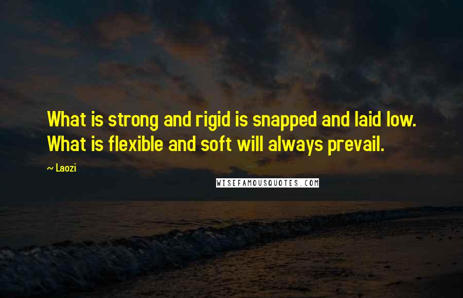 Laozi Quotes: What is strong and rigid is snapped and laid low. What is flexible and soft will always prevail.