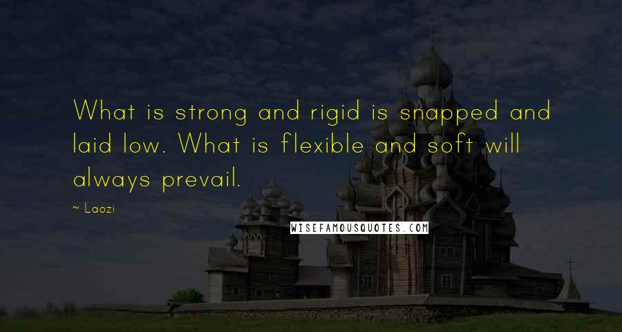Laozi Quotes: What is strong and rigid is snapped and laid low. What is flexible and soft will always prevail.