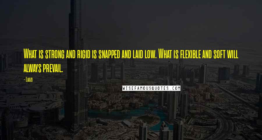 Laozi Quotes: What is strong and rigid is snapped and laid low. What is flexible and soft will always prevail.