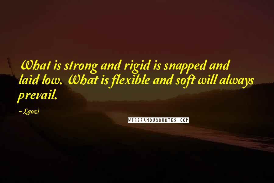 Laozi Quotes: What is strong and rigid is snapped and laid low. What is flexible and soft will always prevail.