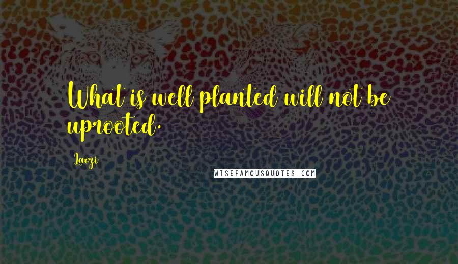 Laozi Quotes: What is well planted will not be uprooted.