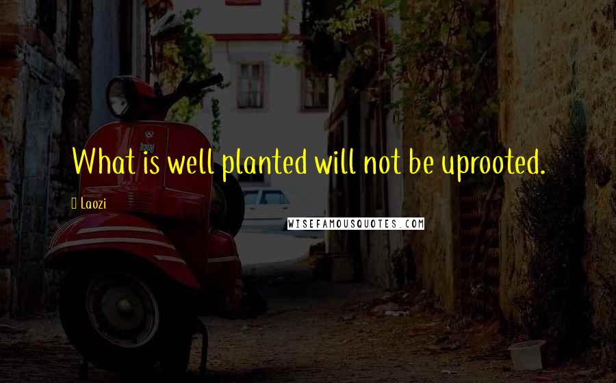 Laozi Quotes: What is well planted will not be uprooted.