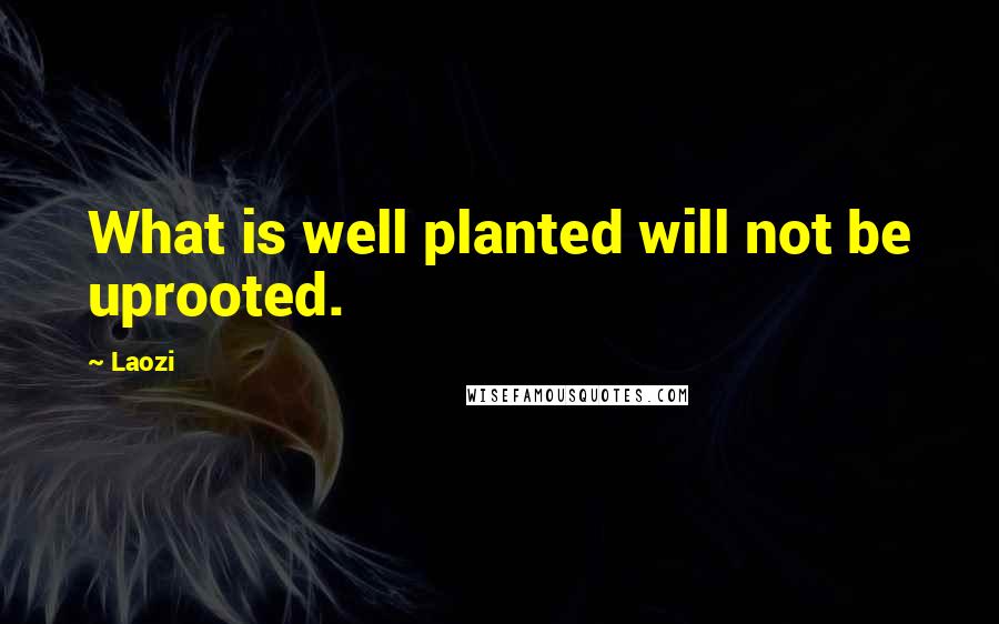 Laozi Quotes: What is well planted will not be uprooted.