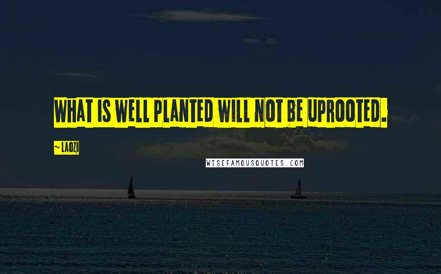Laozi Quotes: What is well planted will not be uprooted.