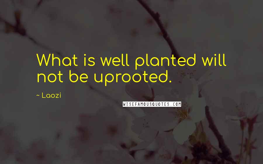 Laozi Quotes: What is well planted will not be uprooted.