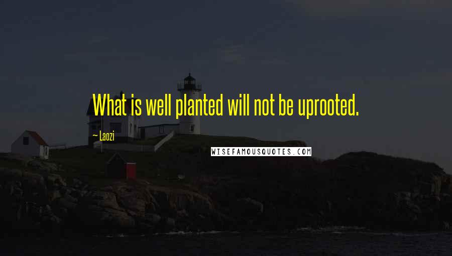 Laozi Quotes: What is well planted will not be uprooted.