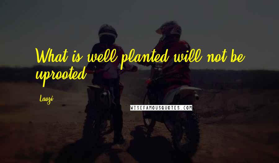 Laozi Quotes: What is well planted will not be uprooted.