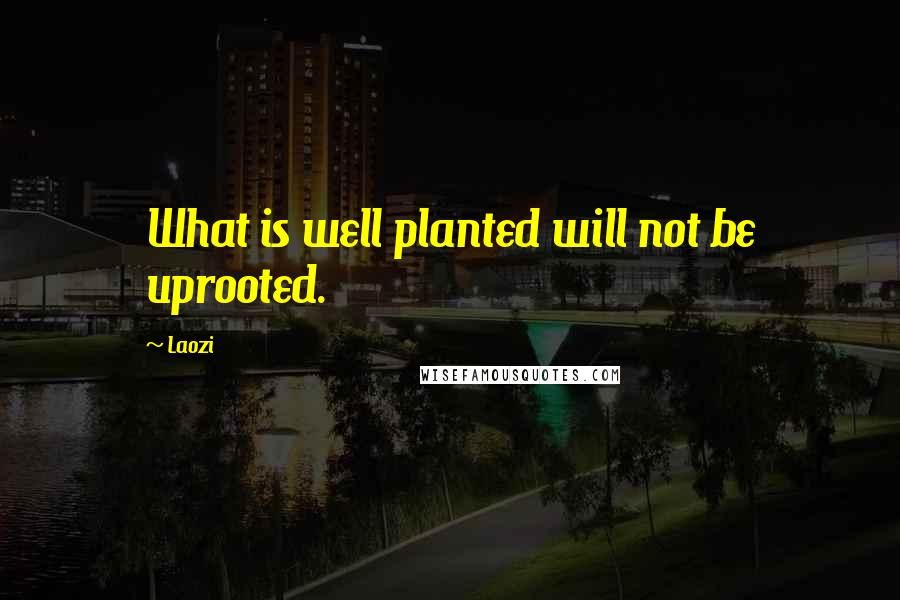 Laozi Quotes: What is well planted will not be uprooted.