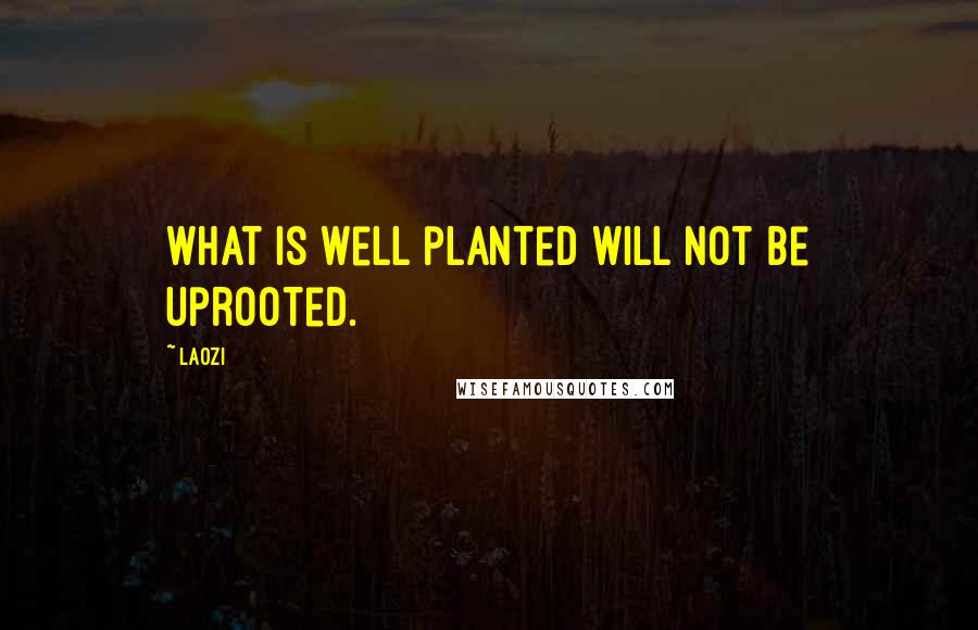 Laozi Quotes: What is well planted will not be uprooted.