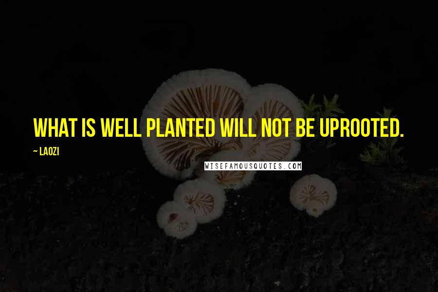 Laozi Quotes: What is well planted will not be uprooted.