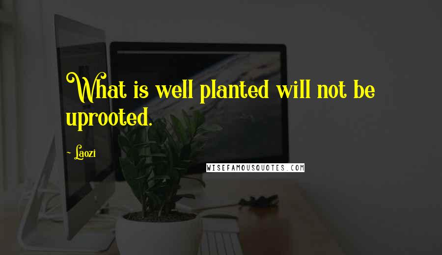 Laozi Quotes: What is well planted will not be uprooted.