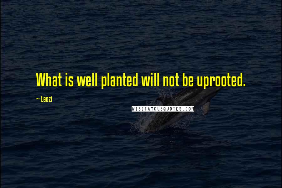 Laozi Quotes: What is well planted will not be uprooted.