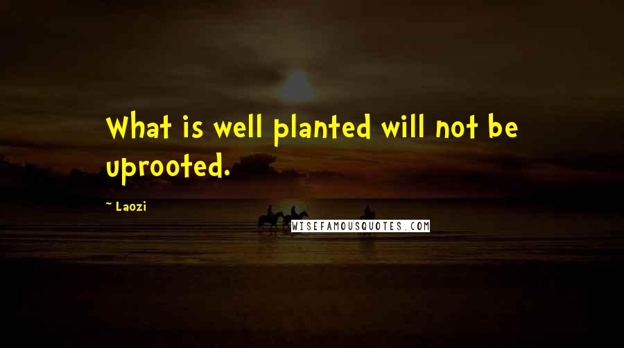 Laozi Quotes: What is well planted will not be uprooted.