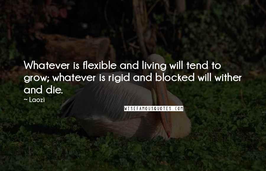 Laozi Quotes: Whatever is flexible and living will tend to grow; whatever is rigid and blocked will wither and die.