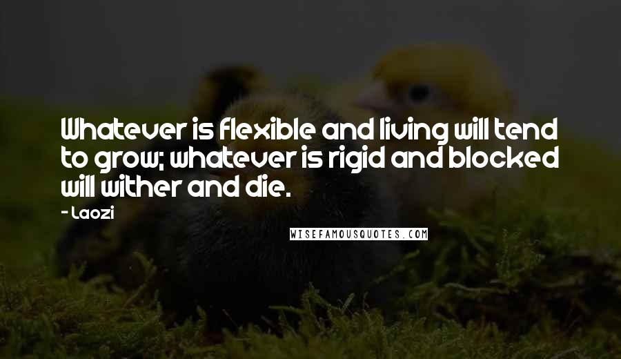 Laozi Quotes: Whatever is flexible and living will tend to grow; whatever is rigid and blocked will wither and die.