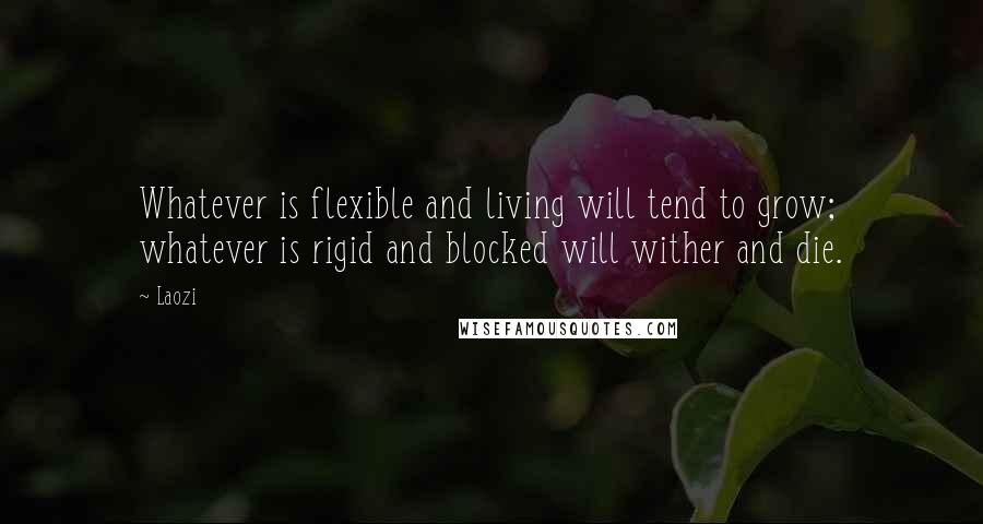 Laozi Quotes: Whatever is flexible and living will tend to grow; whatever is rigid and blocked will wither and die.