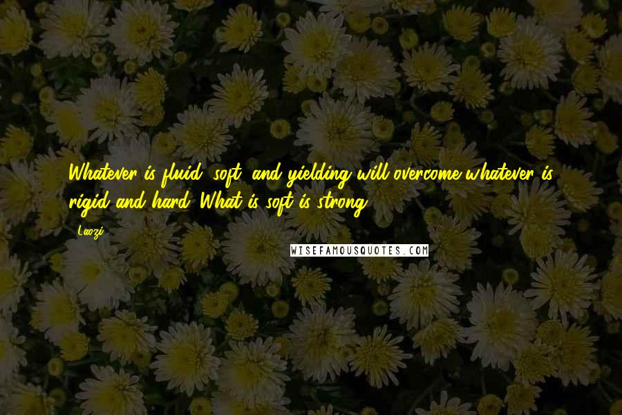 Laozi Quotes: Whatever is fluid, soft, and yielding will overcome whatever is rigid and hard. What is soft is strong.