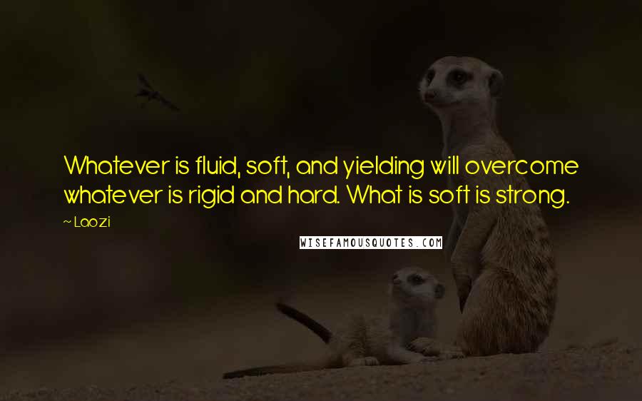 Laozi Quotes: Whatever is fluid, soft, and yielding will overcome whatever is rigid and hard. What is soft is strong.