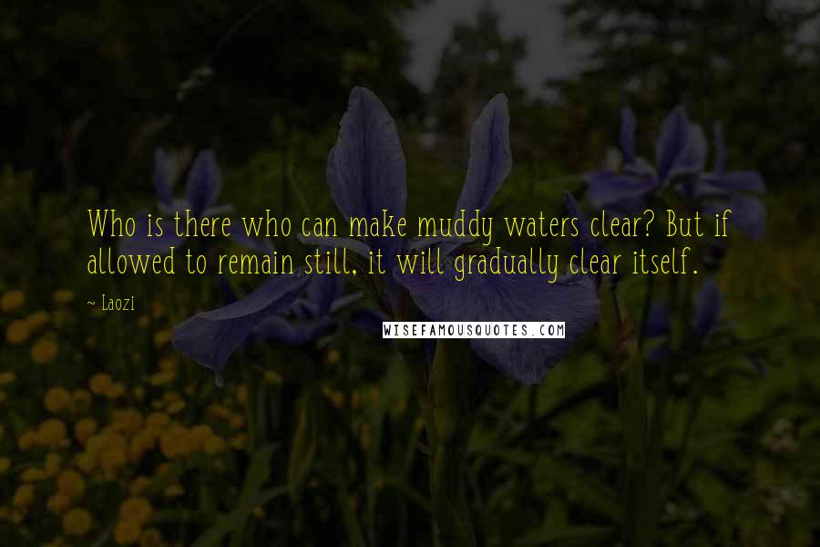 Laozi Quotes: Who is there who can make muddy waters clear? But if allowed to remain still, it will gradually clear itself.