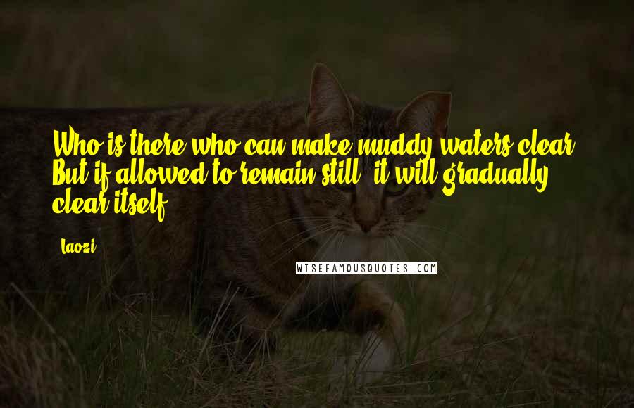 Laozi Quotes: Who is there who can make muddy waters clear? But if allowed to remain still, it will gradually clear itself.