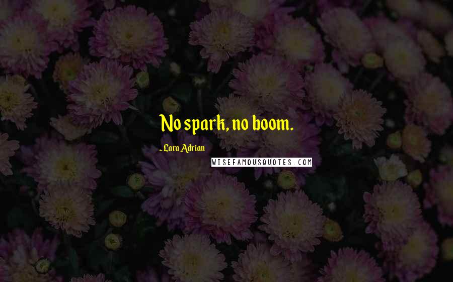 Lara Adrian Quotes: No spark, no boom.
