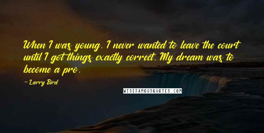 Larry Bird Quotes: When I was young, I never wanted to leave the court until I got things exactly correct. My dream was to become a pro.