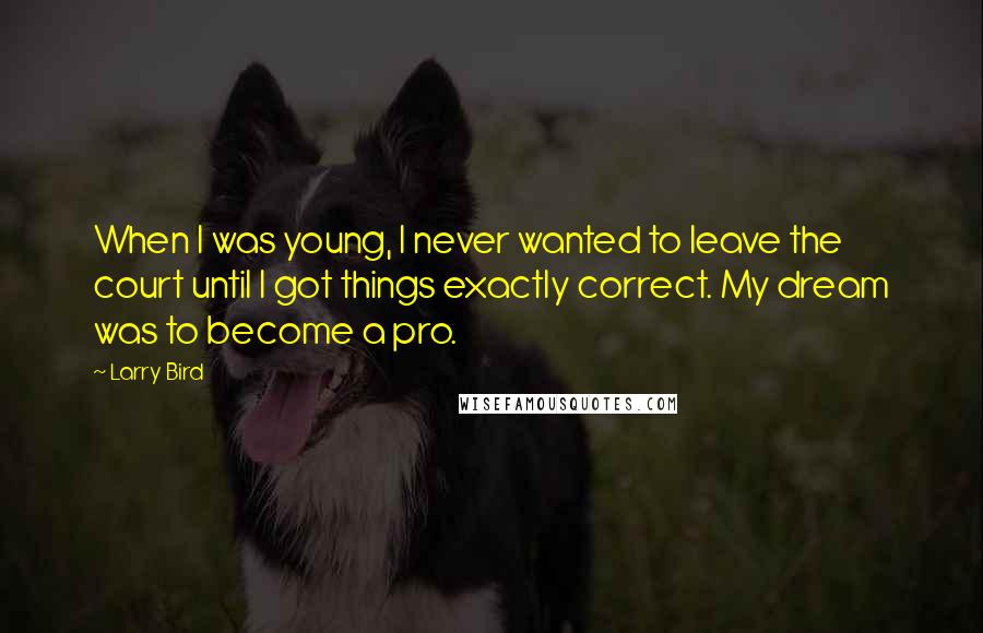 Larry Bird Quotes: When I was young, I never wanted to leave the court until I got things exactly correct. My dream was to become a pro.