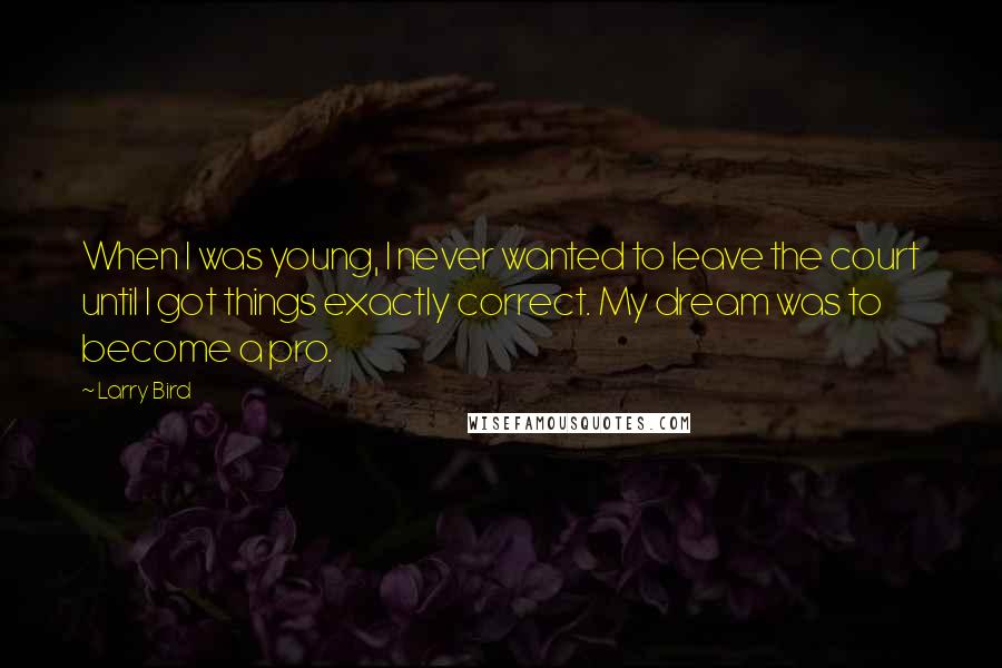 Larry Bird Quotes: When I was young, I never wanted to leave the court until I got things exactly correct. My dream was to become a pro.