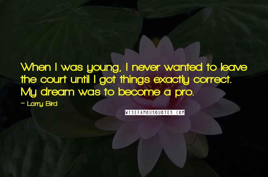 Larry Bird Quotes: When I was young, I never wanted to leave the court until I got things exactly correct. My dream was to become a pro.