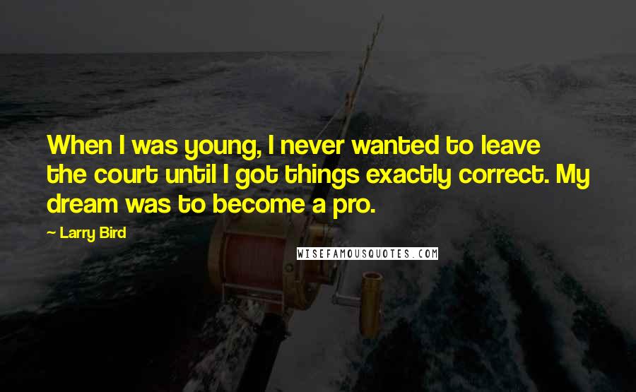 Larry Bird Quotes: When I was young, I never wanted to leave the court until I got things exactly correct. My dream was to become a pro.