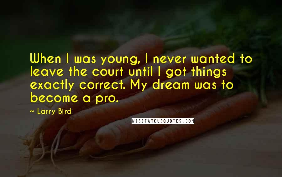Larry Bird Quotes: When I was young, I never wanted to leave the court until I got things exactly correct. My dream was to become a pro.