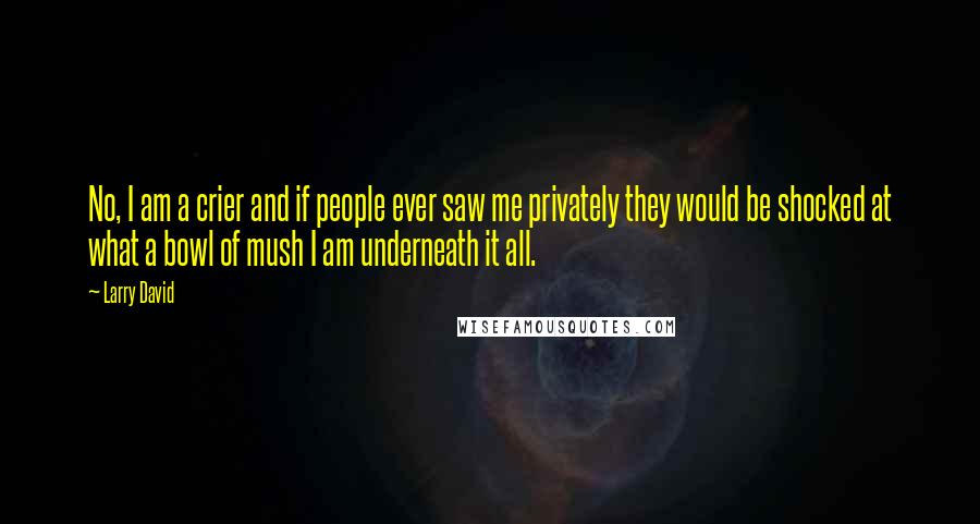 Larry David Quotes: No, I am a crier and if people ever saw me privately they would be shocked at what a bowl of mush I am underneath it all.