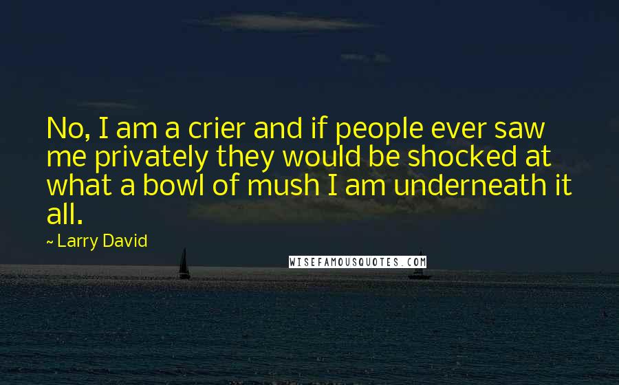Larry David Quotes: No, I am a crier and if people ever saw me privately they would be shocked at what a bowl of mush I am underneath it all.