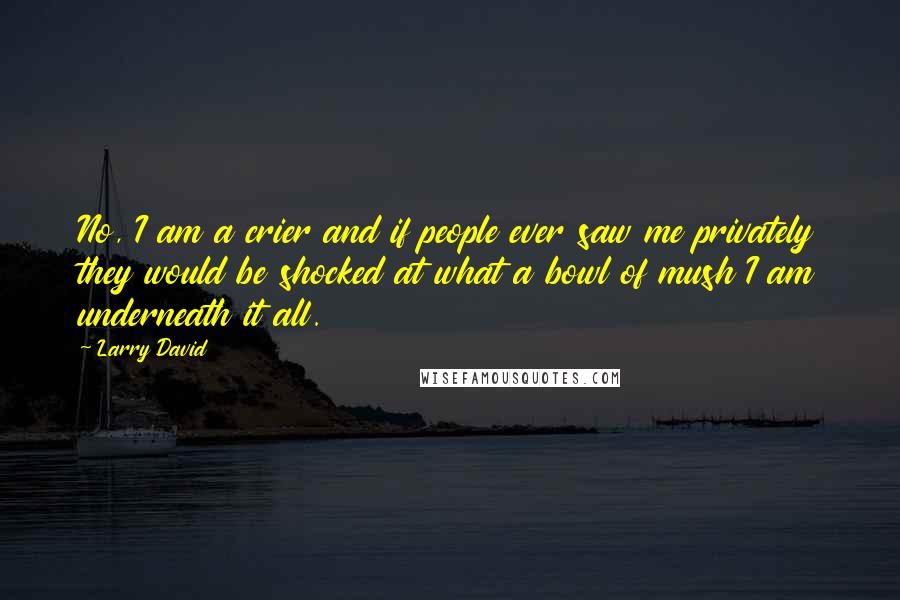 Larry David Quotes: No, I am a crier and if people ever saw me privately they would be shocked at what a bowl of mush I am underneath it all.