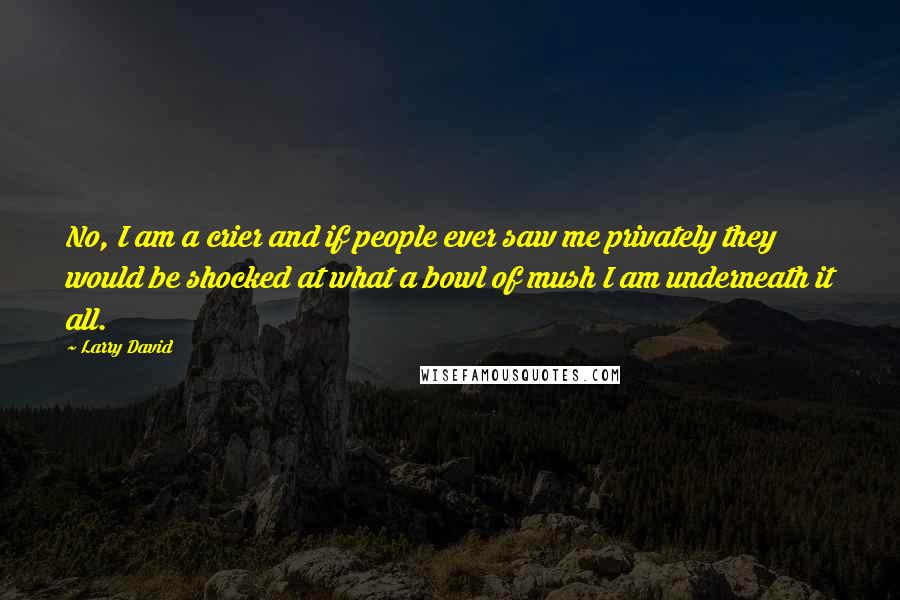 Larry David Quotes: No, I am a crier and if people ever saw me privately they would be shocked at what a bowl of mush I am underneath it all.