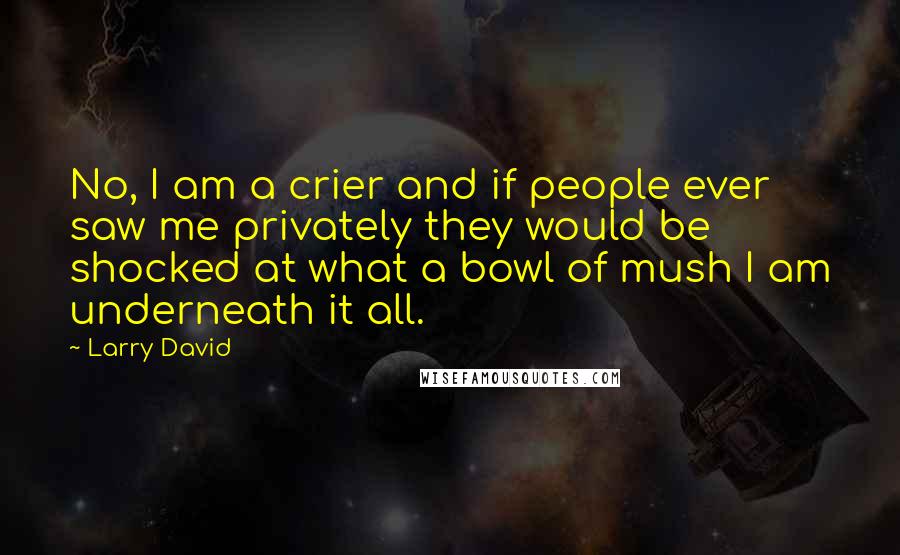 Larry David Quotes: No, I am a crier and if people ever saw me privately they would be shocked at what a bowl of mush I am underneath it all.