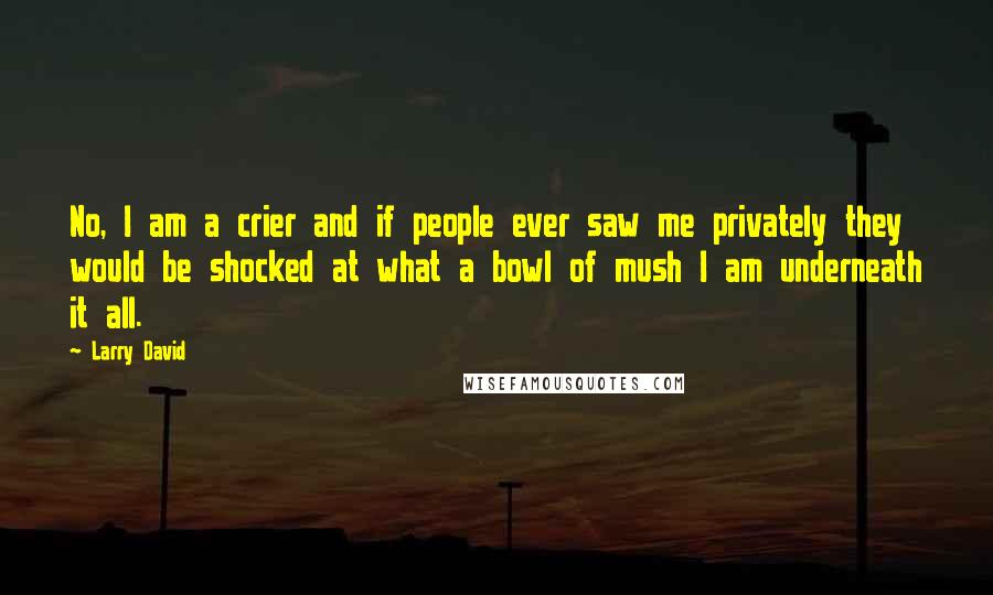 Larry David Quotes: No, I am a crier and if people ever saw me privately they would be shocked at what a bowl of mush I am underneath it all.