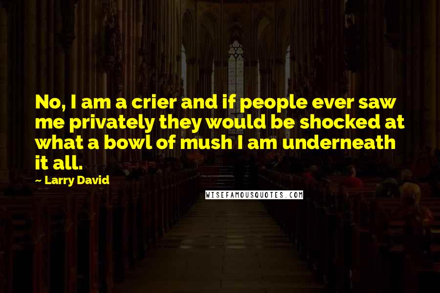 Larry David Quotes: No, I am a crier and if people ever saw me privately they would be shocked at what a bowl of mush I am underneath it all.